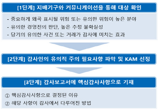 핵심감사사항 선정절차 및 감사보고서 기재사항. 금감원 제공